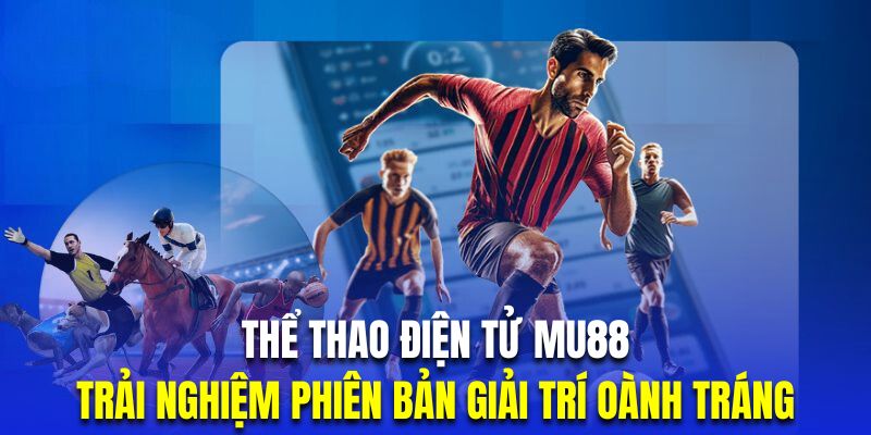 Chinh phục những trận đấu Esports đẳng cấp 