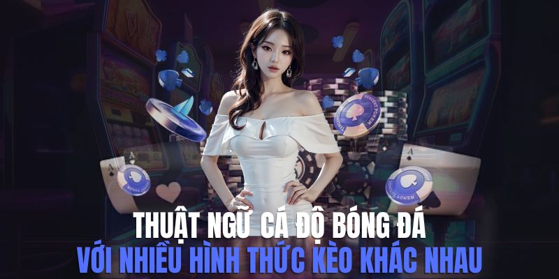 Thuật Ngữ Cá Độ Bóng Đá Đơn Giản Cho Ai Chưa Biết